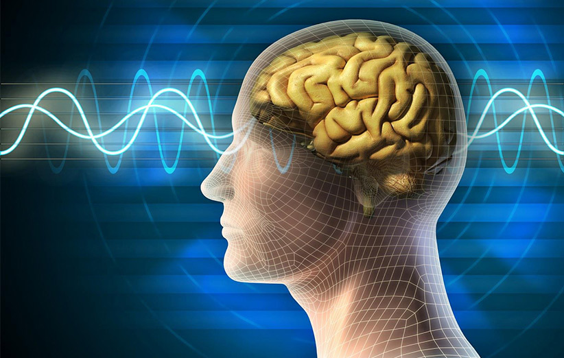 خود آگاهی ممکن است به دلیل تعادل در ارتباط بین نورون‌های مغز انسان باشد