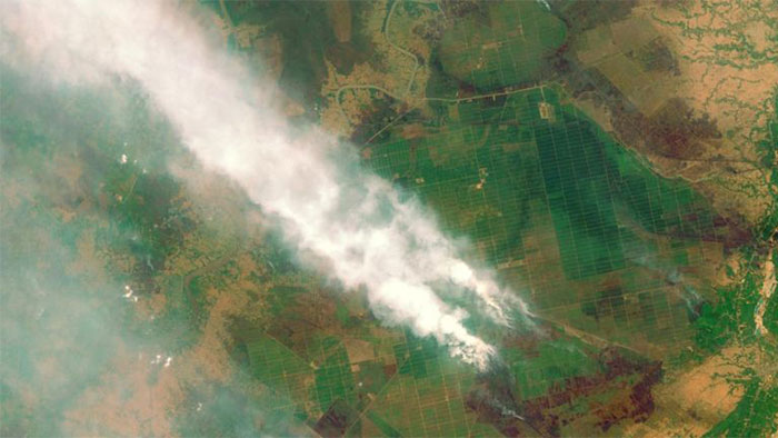 آتش‌سوزی جنگل‌های «کالیمانتان»-Kalimantan- در کشور اندونزی
